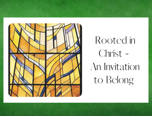 Rooted in Christ – An Invitation to Belong