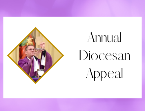 Annual Diocesan Appeal