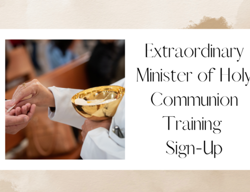 Extraordinary Minister of Holy Communion Training