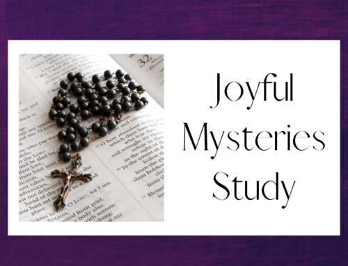 Joyful Mysteries of the Rosary